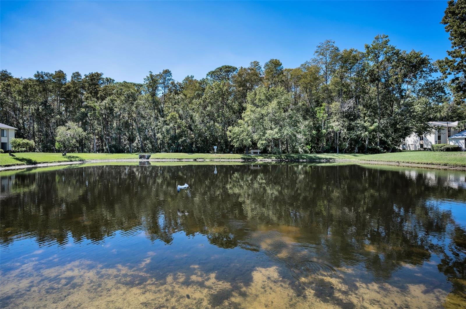 Image 34 of 76 For 1488 Pine Glen Lane B2