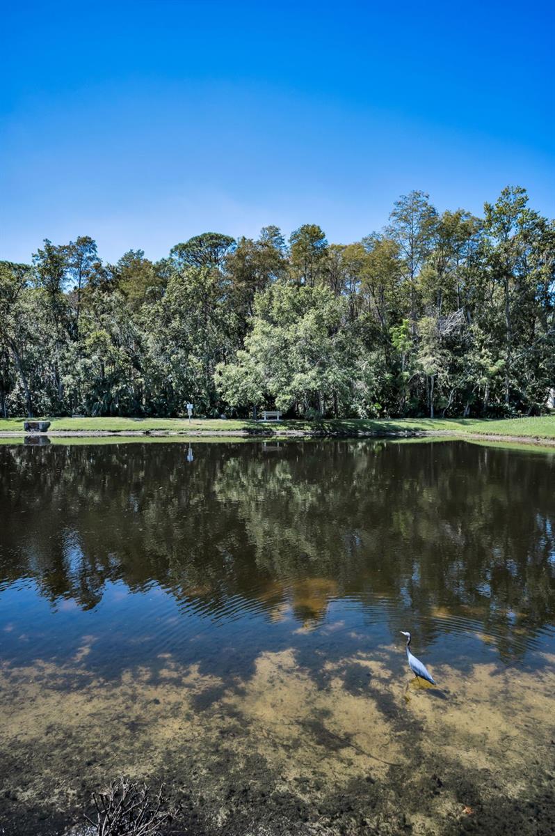 Image 35 of 76 For 1488 Pine Glen Lane B2