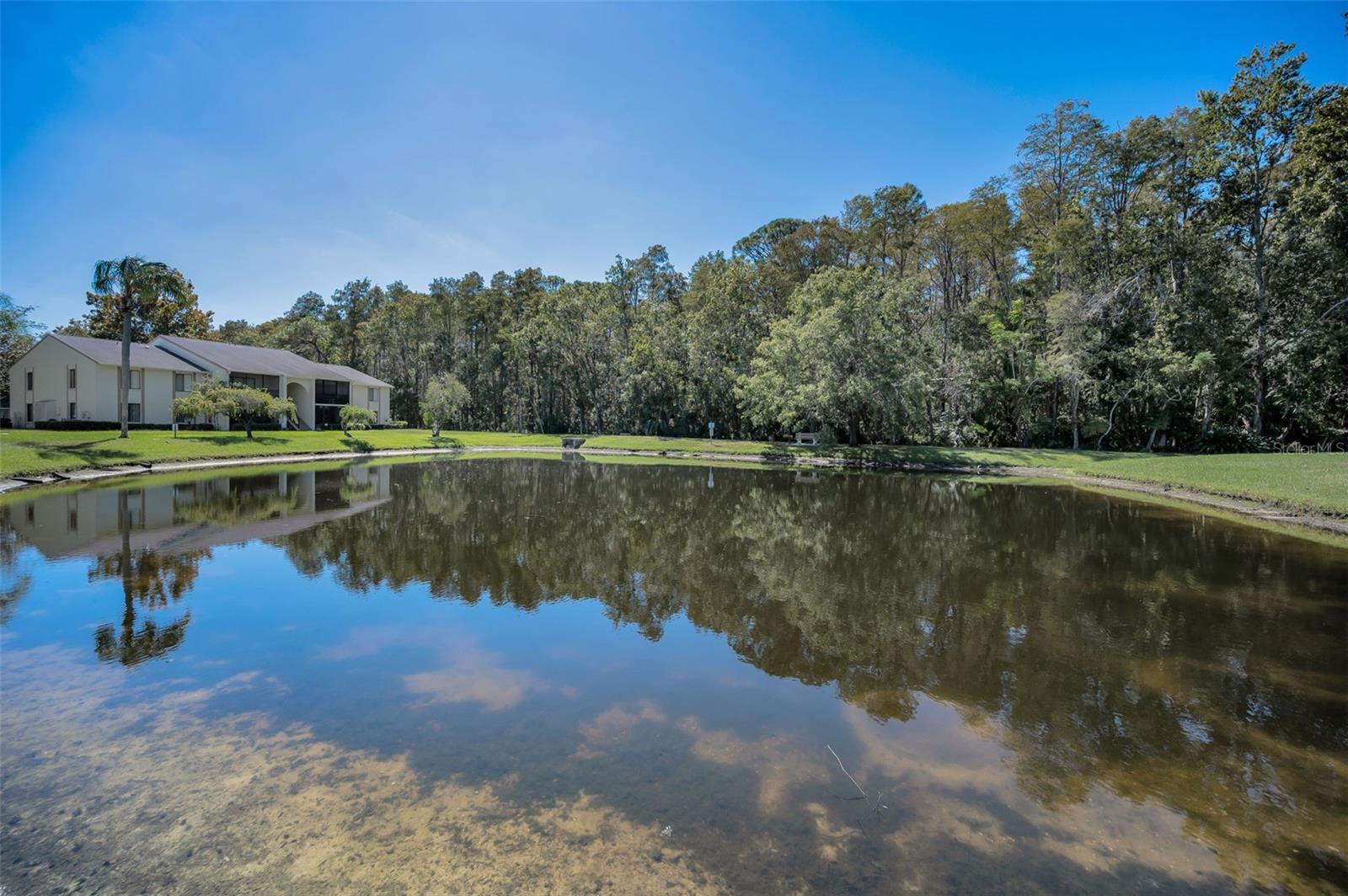 Image 36 of 76 For 1488 Pine Glen Lane B2