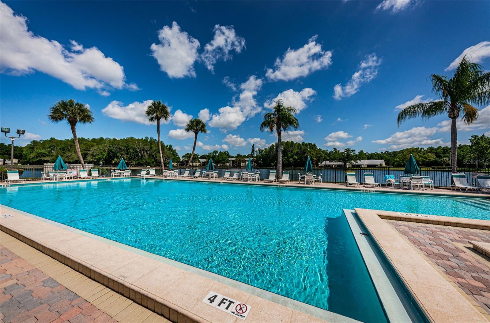 Image 67 of 76 For 1488 Pine Glen Lane B2