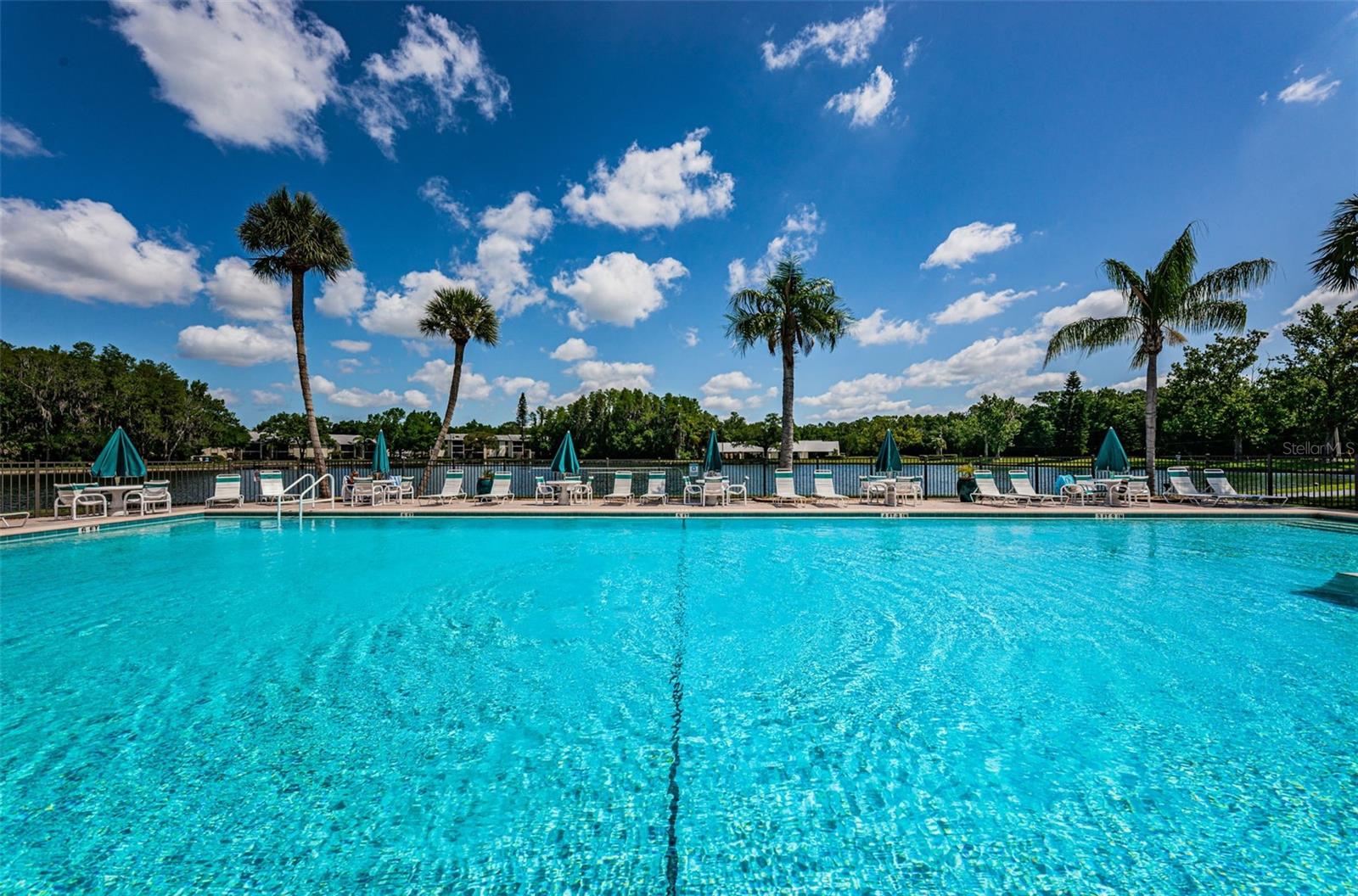 Image 69 of 76 For 1488 Pine Glen Lane B2