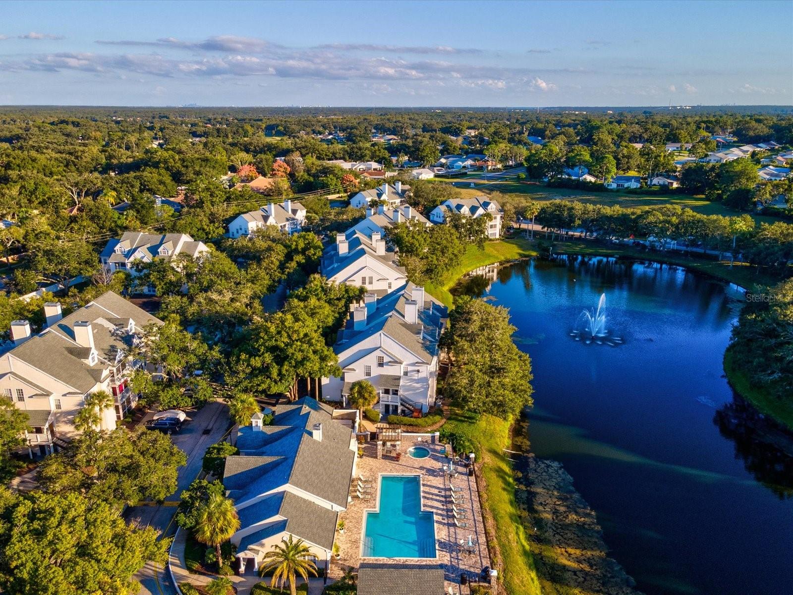 Details for 3321 Haviland Court 104, PALM HARBOR, FL 34684