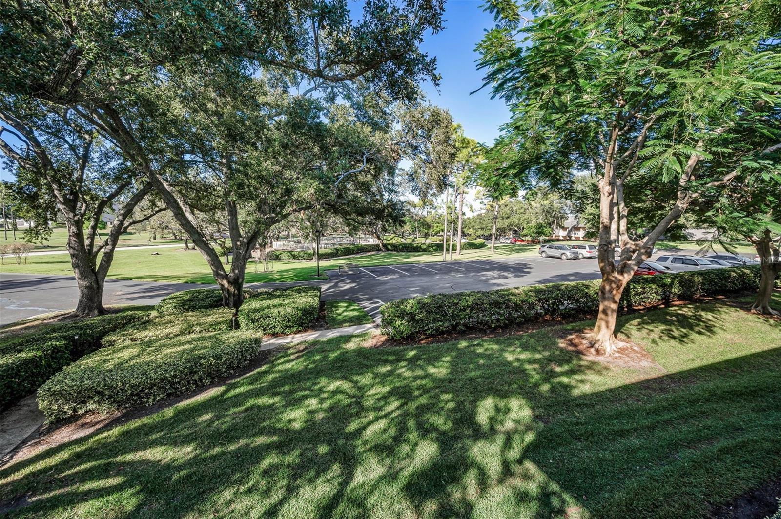 Image 38 of 93 For 36750 Us Highway 19  22-202