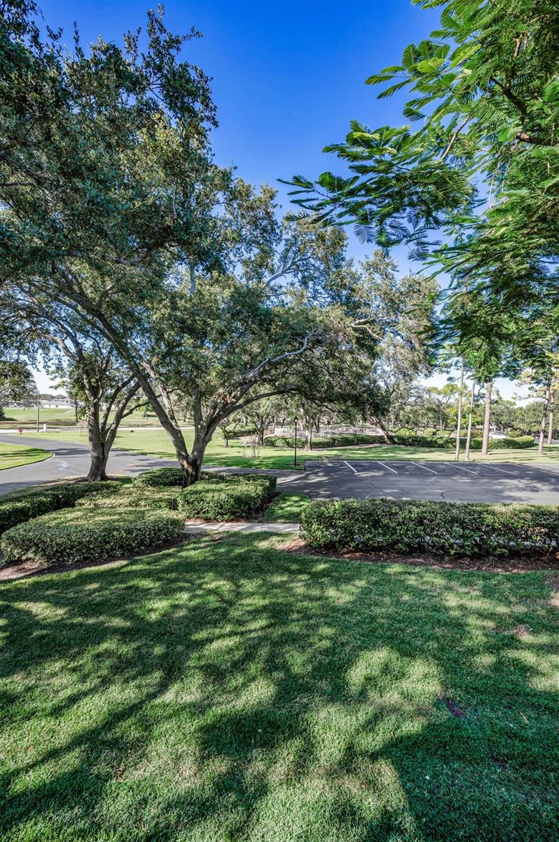 Image 39 of 93 For 36750 Us Highway 19  22-202