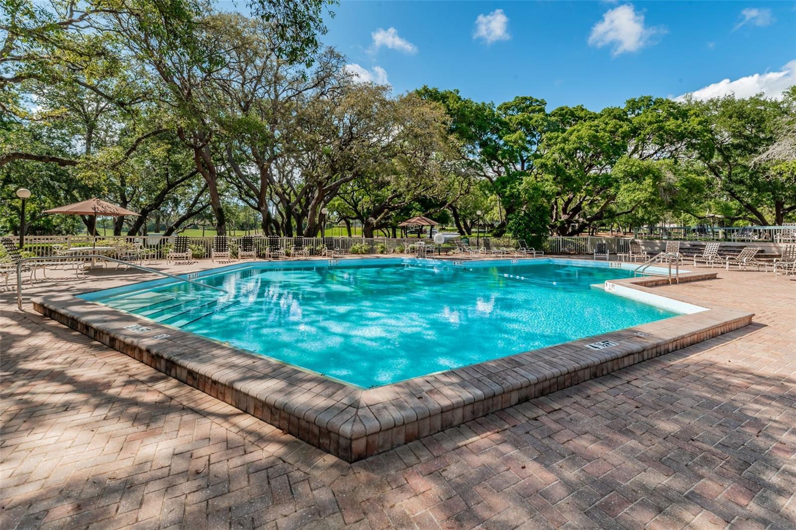 Image 79 of 93 For 36750 Us Highway 19  22-202