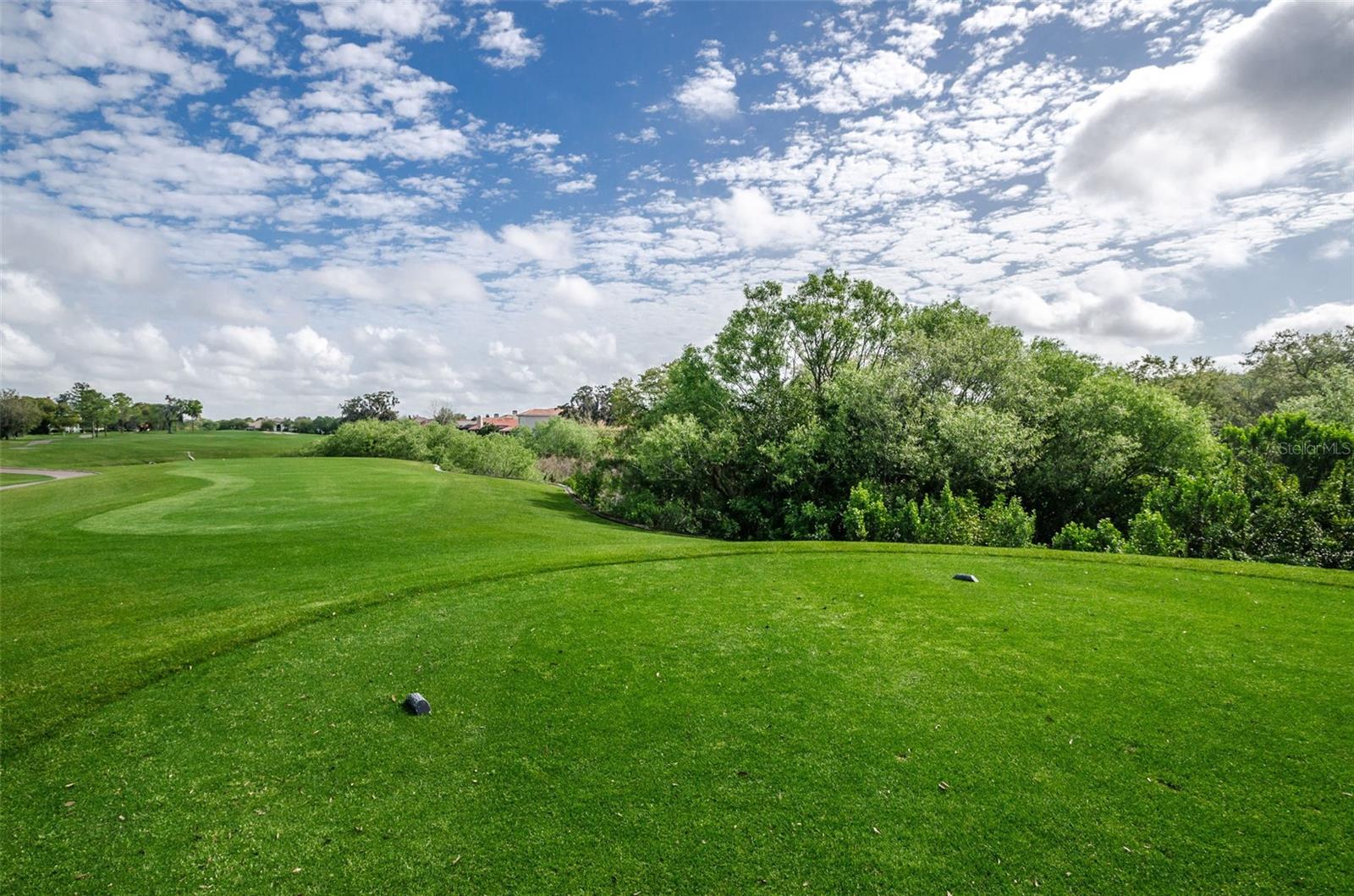 Image 84 of 93 For 36750 Us Highway 19  22-202