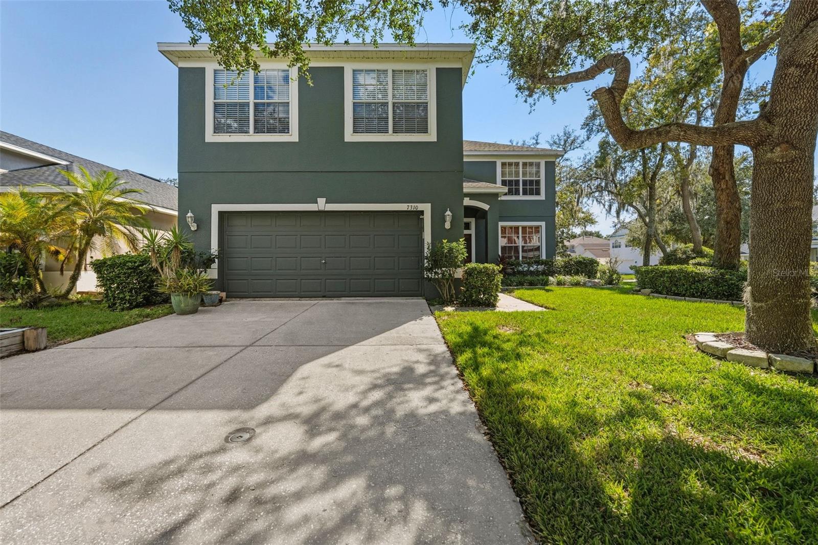 Details for 7310 Brightwater Oaks Drive, TAMPA, FL 33625