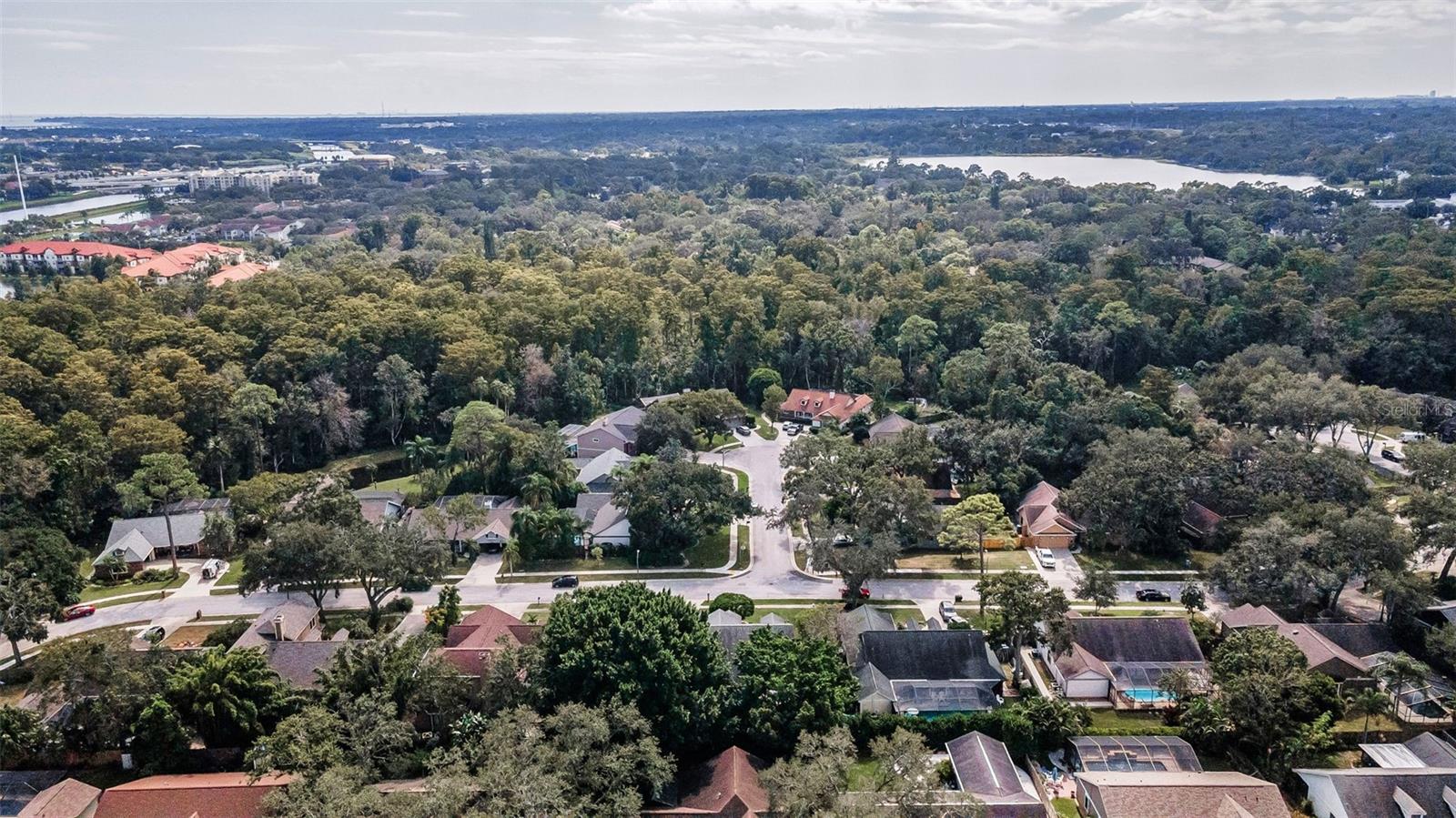 Image 74 of 82 For 3569 Ermine Path