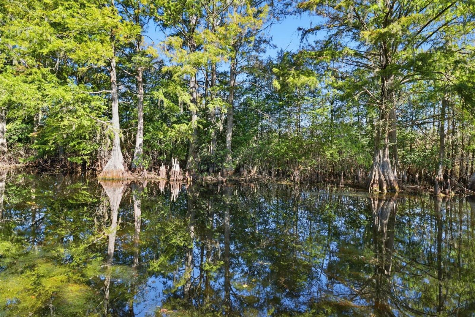 Image 35 of 50 For 11641 Salmon Drive