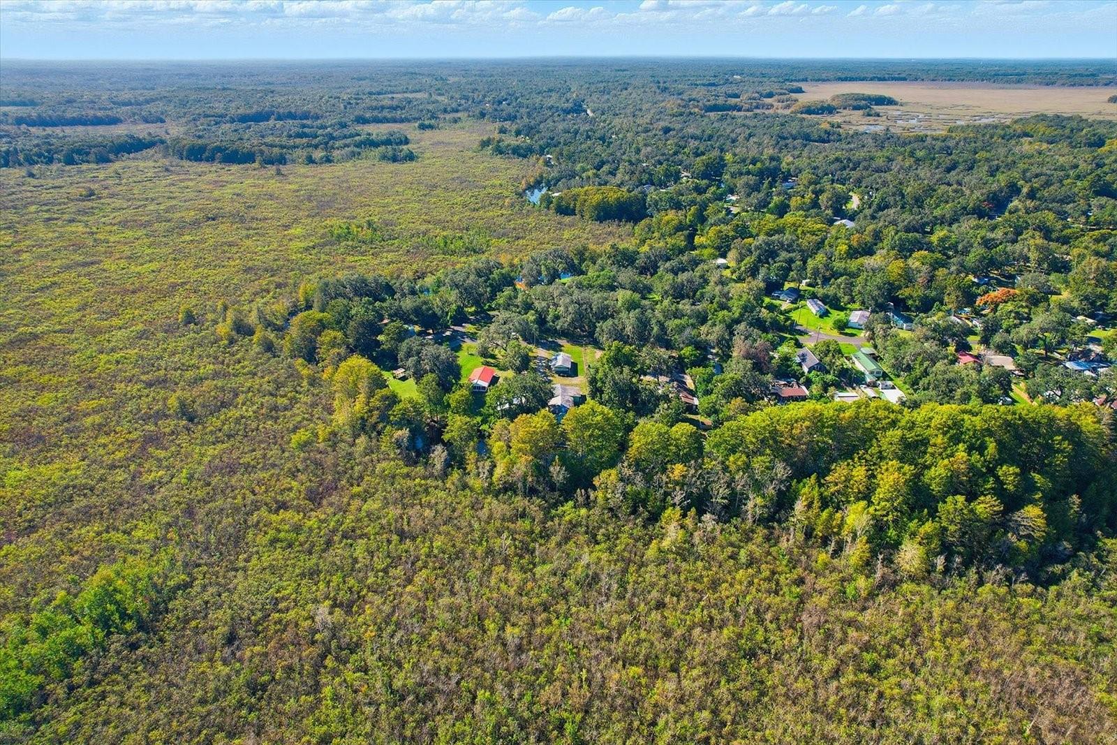 Image 43 of 50 For 11641 Salmon Drive