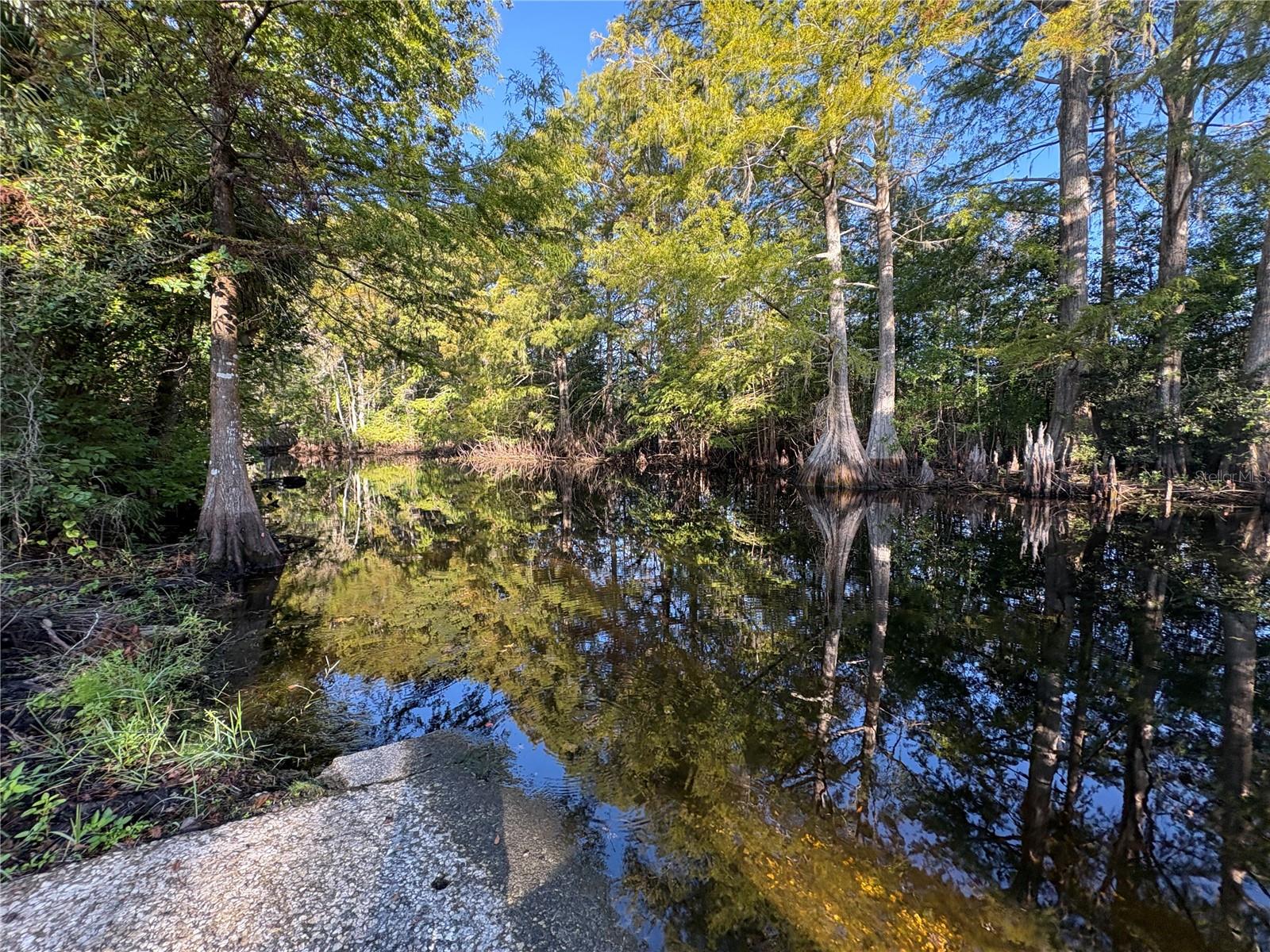 Image 50 of 50 For 11641 Salmon Drive