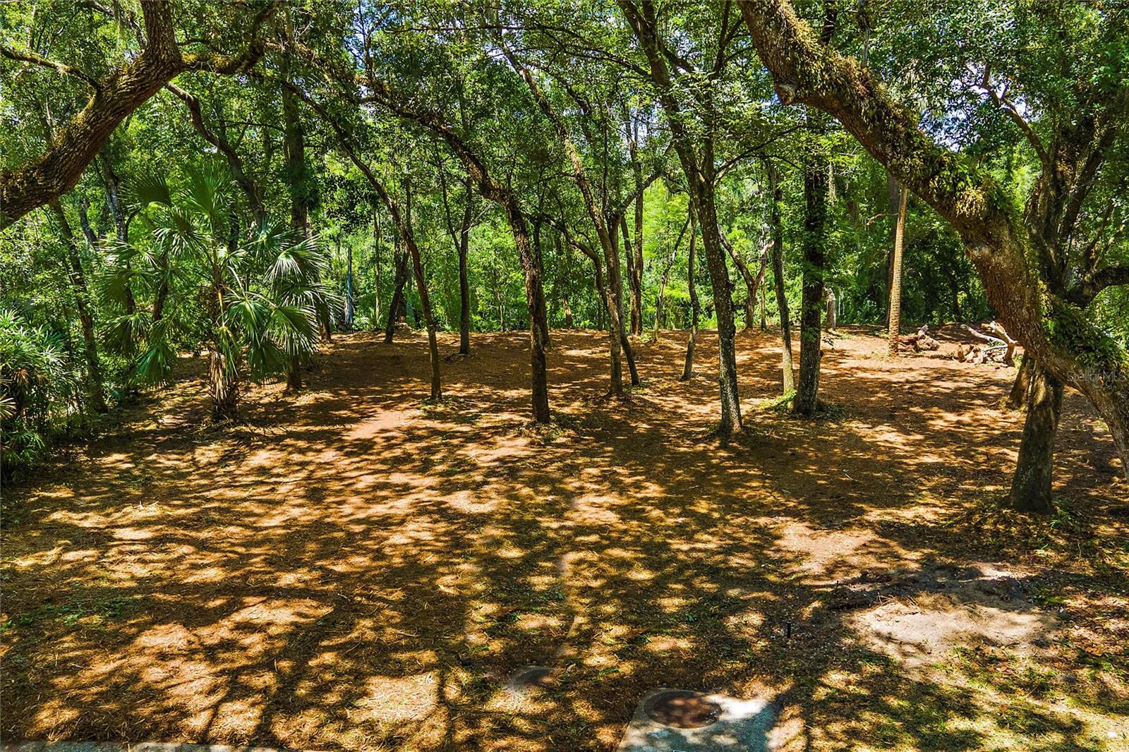Details for 11731 Gail Drive, TEMPLE TERRACE, FL 33617