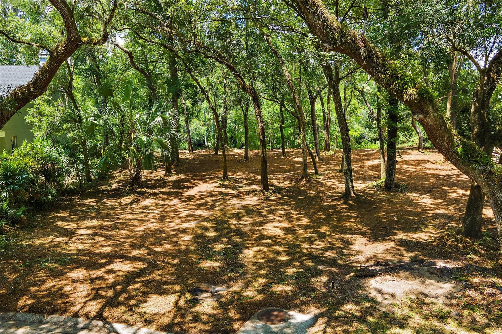 Image 12 of 16 For 11731 Gail Drive