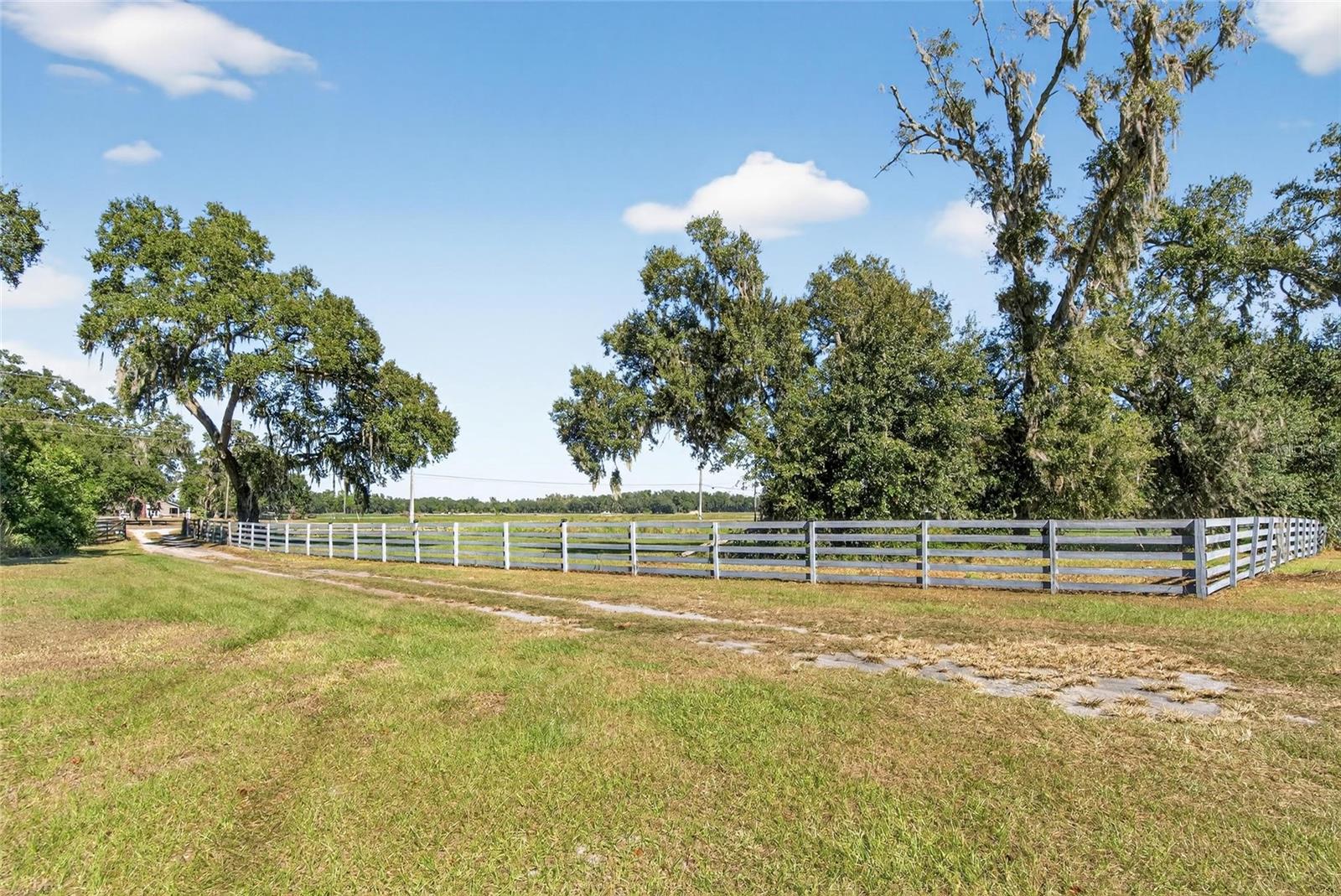 Listing photo id 59 for 2461 Sam Allen Road