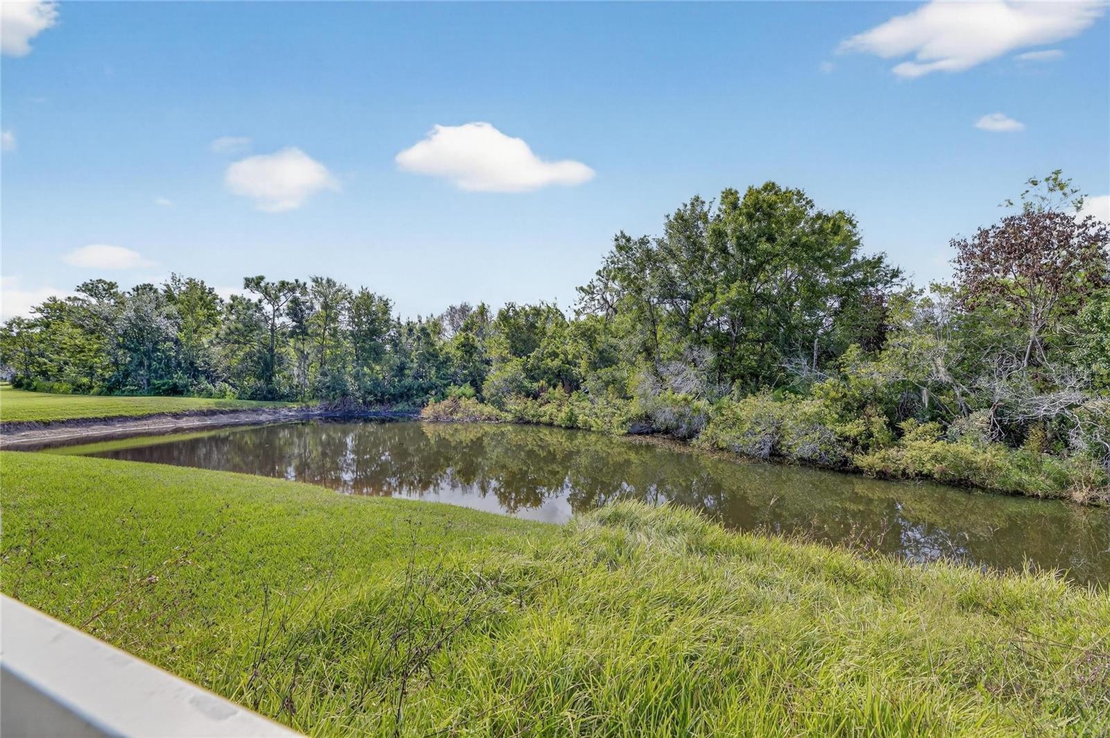 Image 65 of 66 For 4102 Medbury Drive