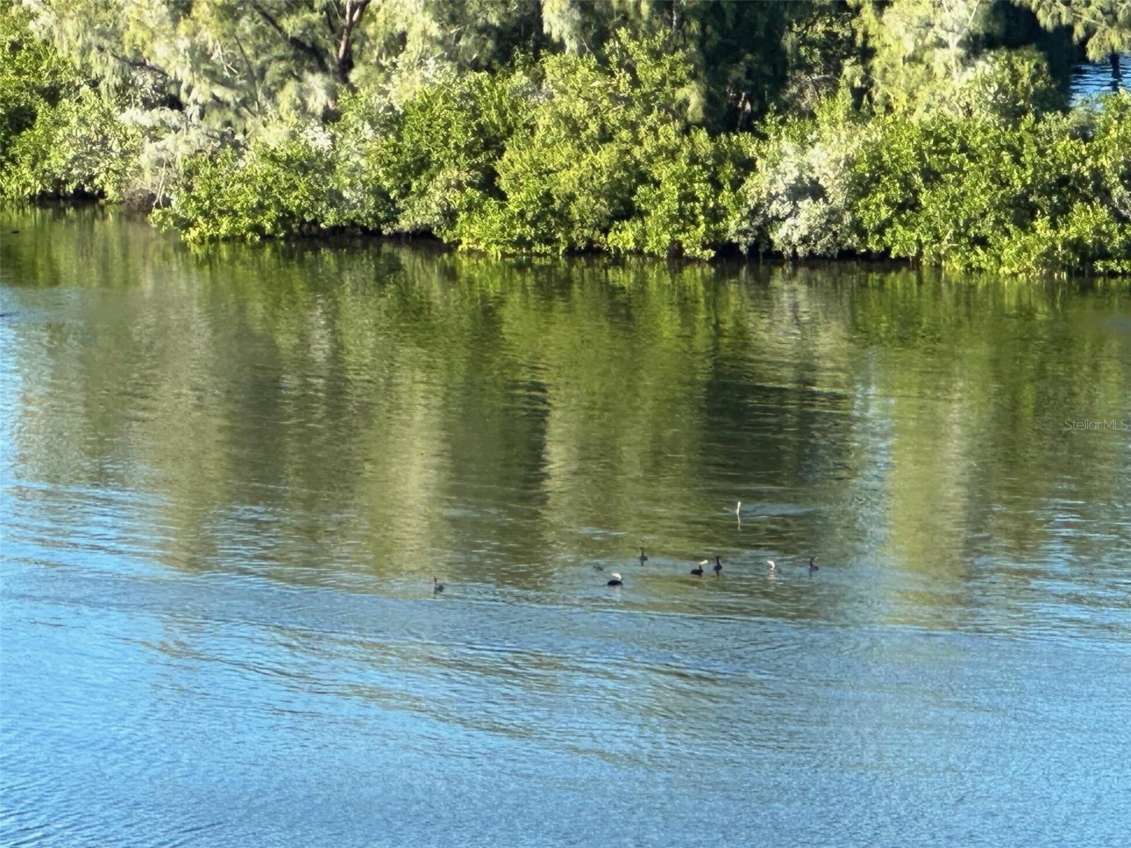 Image 20 of 44 For 5915 Sea Ranch Drive 610