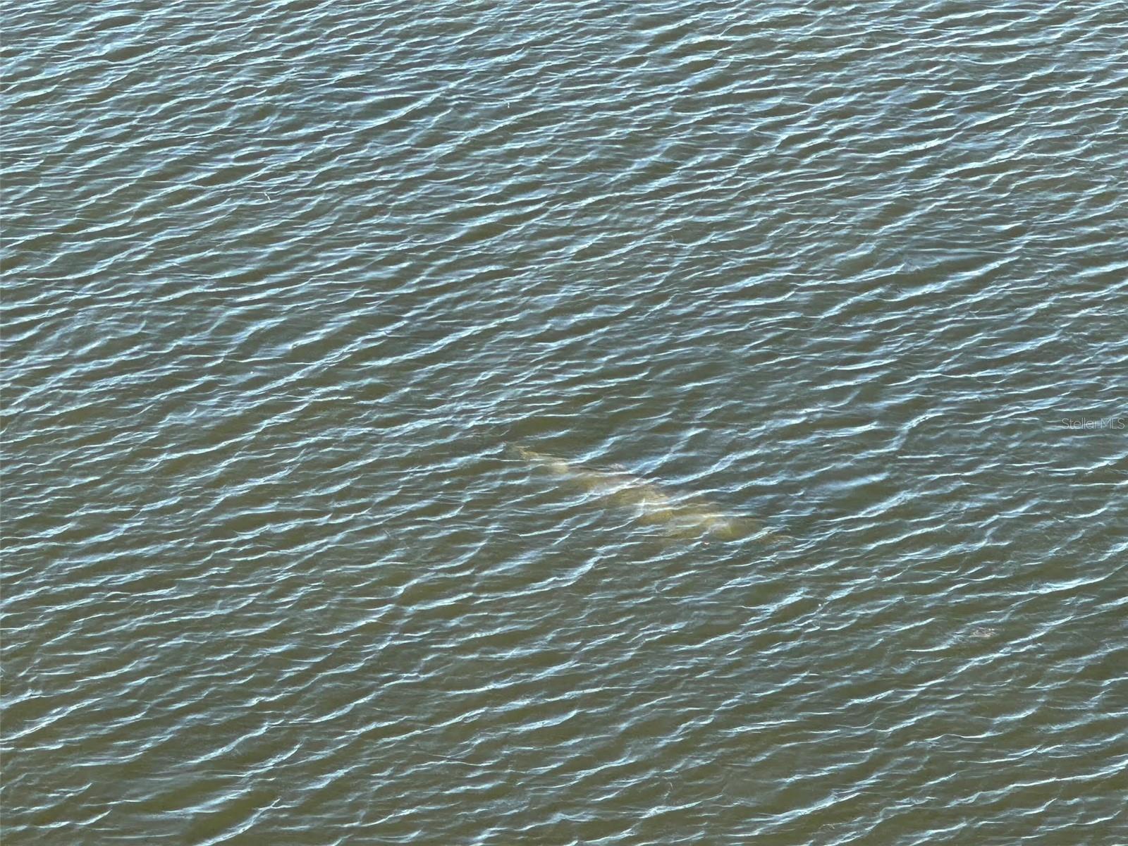 Image 23 of 44 For 5915 Sea Ranch Drive 610