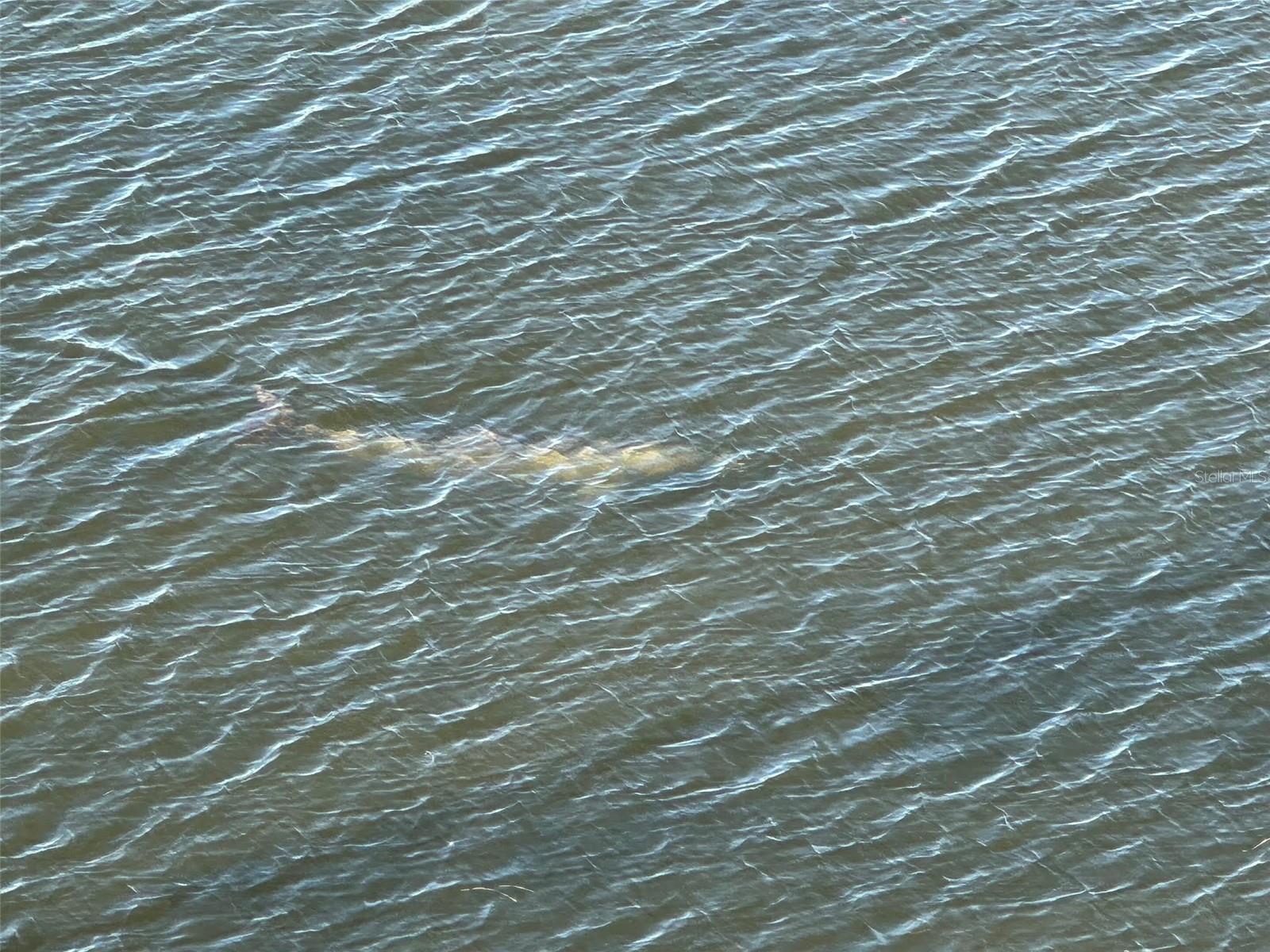 Image 36 of 44 For 5915 Sea Ranch Drive 610