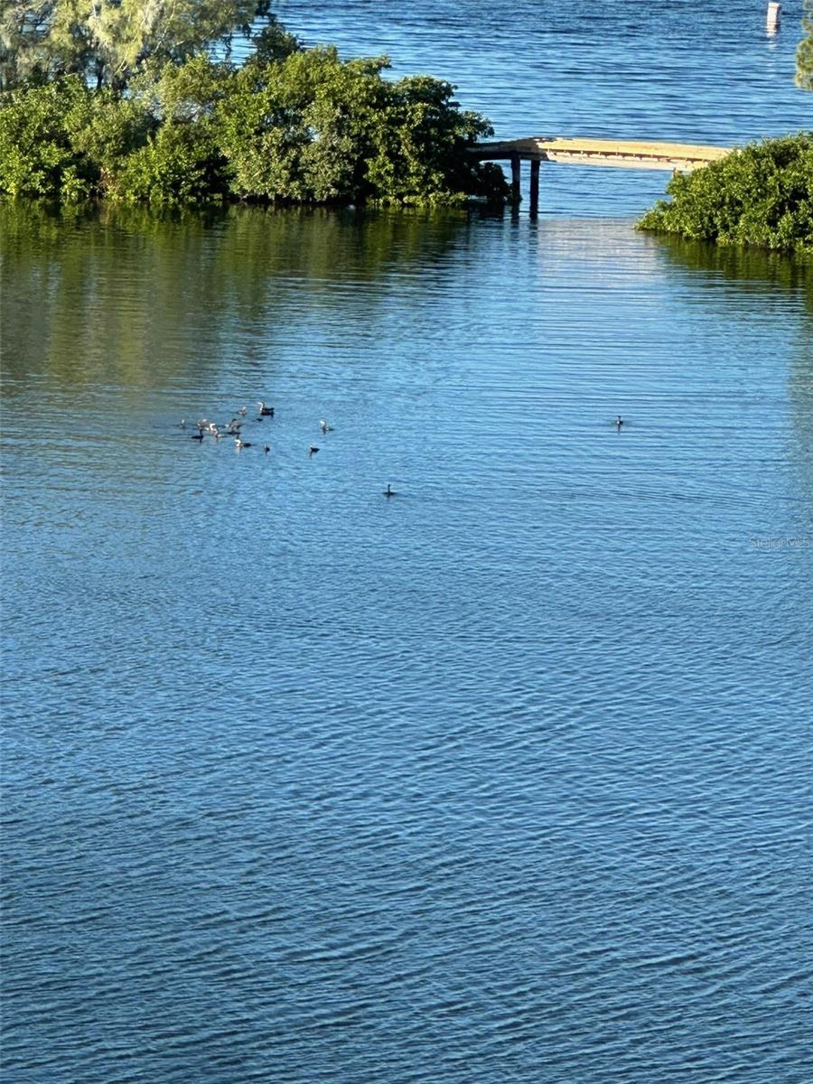 Image 39 of 44 For 5915 Sea Ranch Drive 610