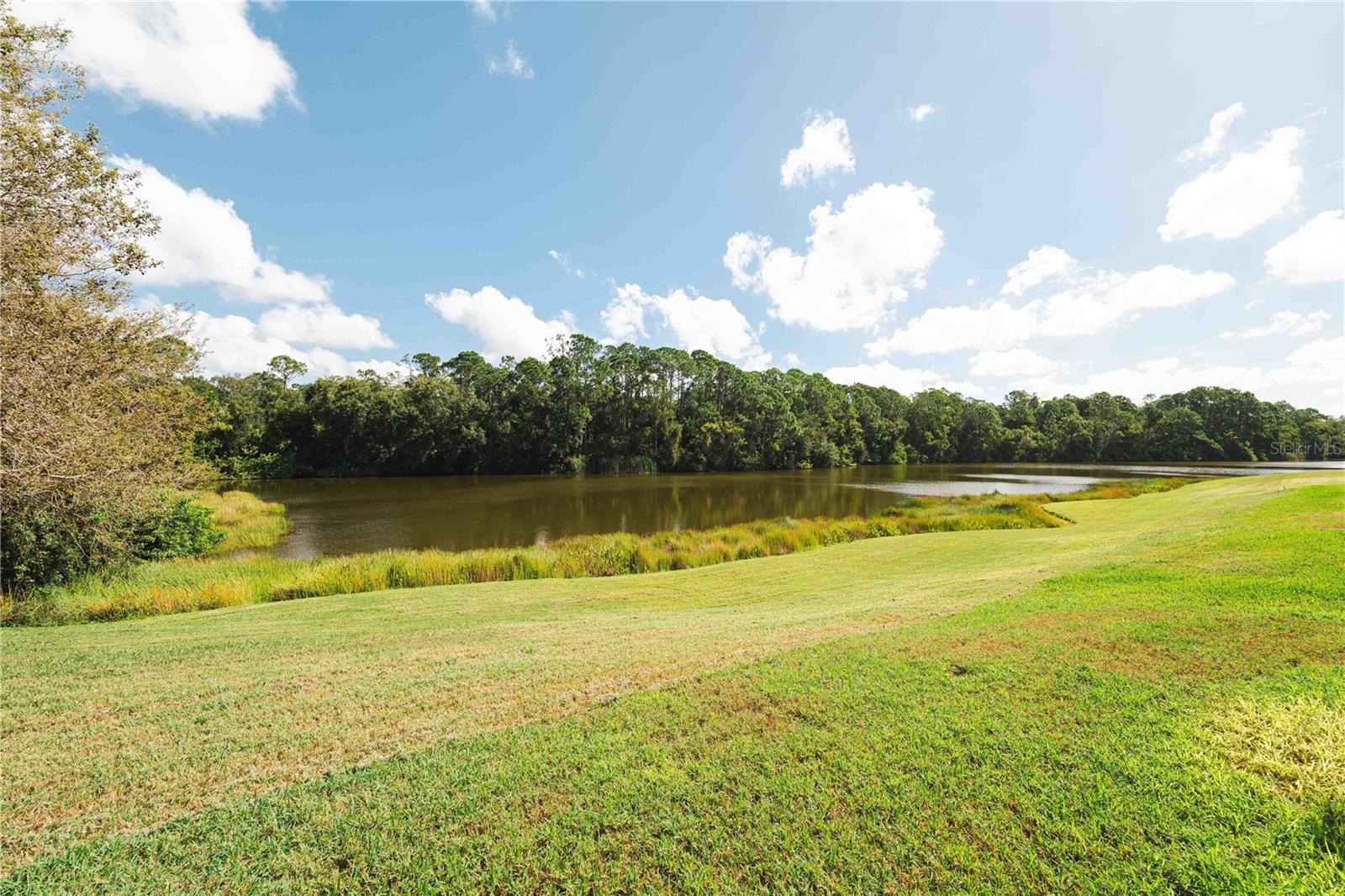 Image 59 of 84 For 2151 Diamond Court