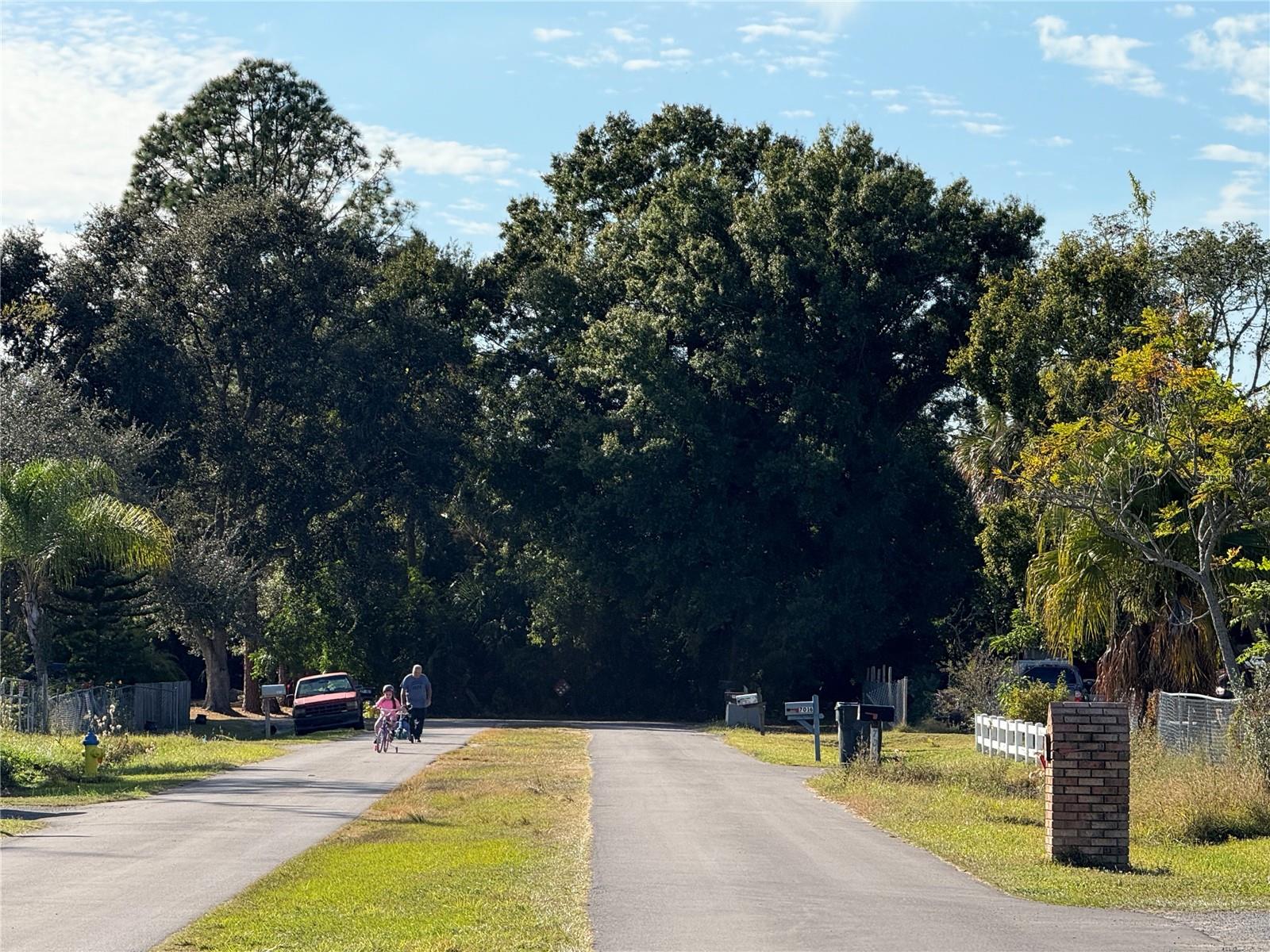 Image 5 of 7 For 7013 51st Avenue