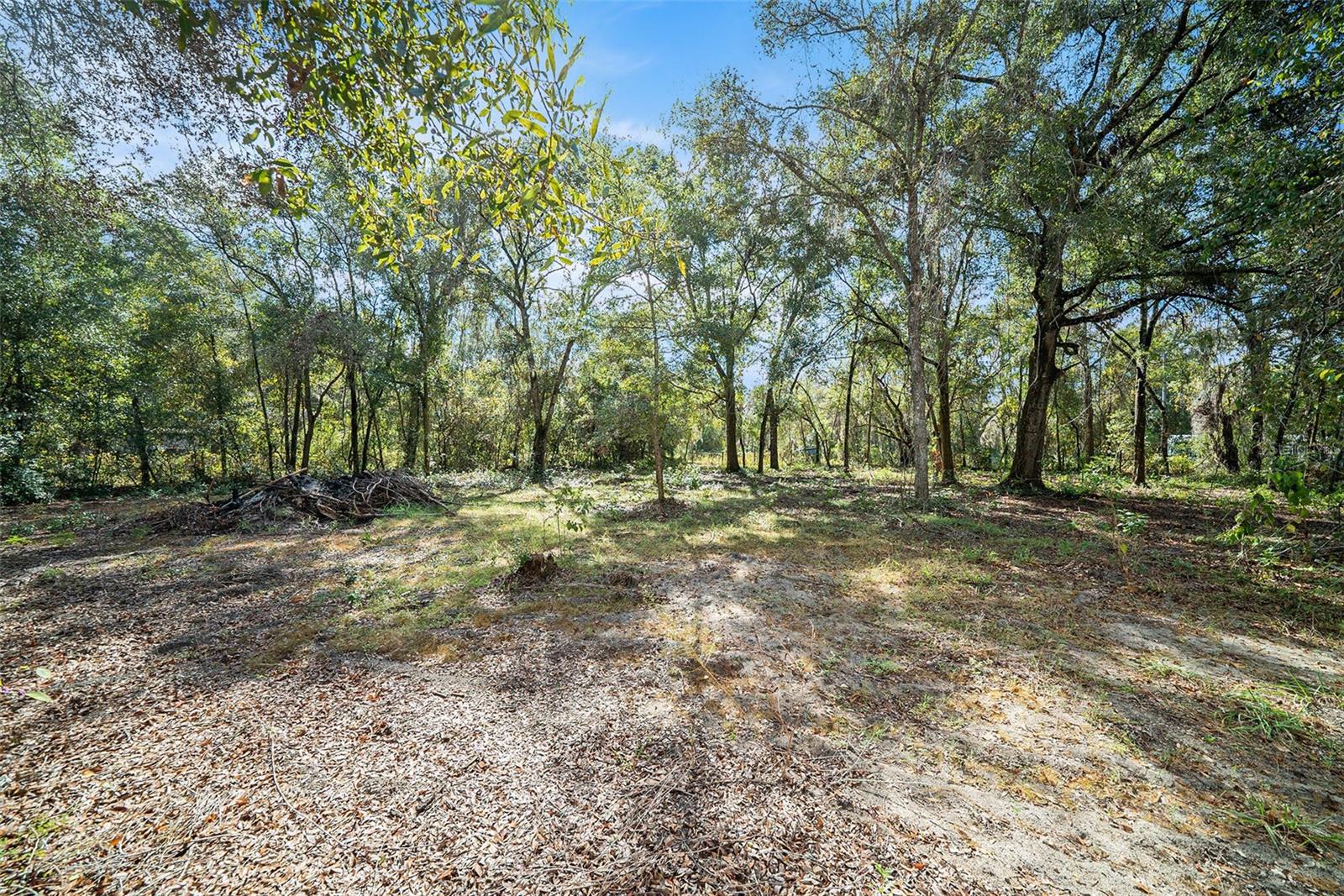 Image 24 of 39 For 17235 Shirla Rae Dr