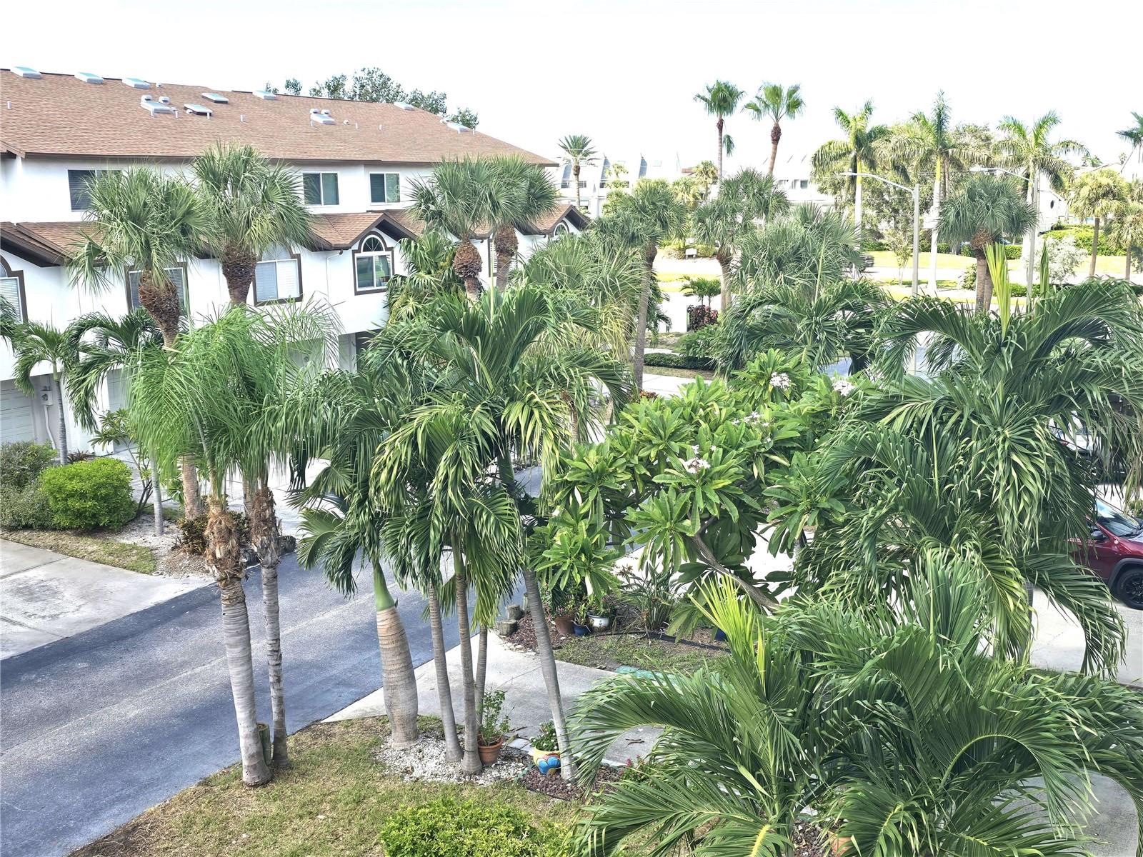 Image 27 of 29 For 346 Madeira Circle