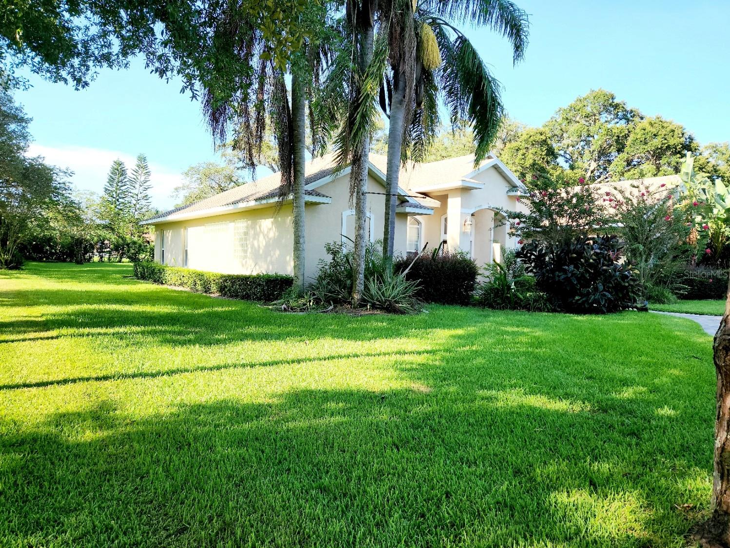 Image 3 of 21 For 5 Pine Forest Lane