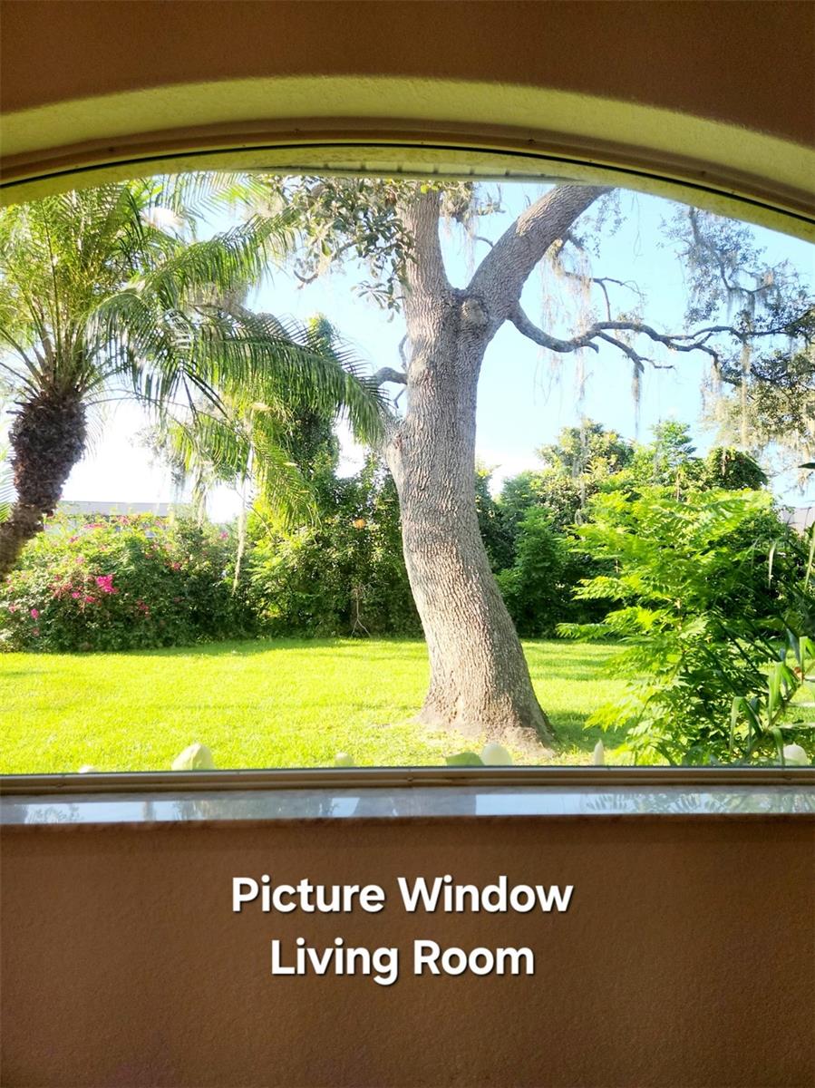 Image 46 of 61 For 5 Pine Forest Lane