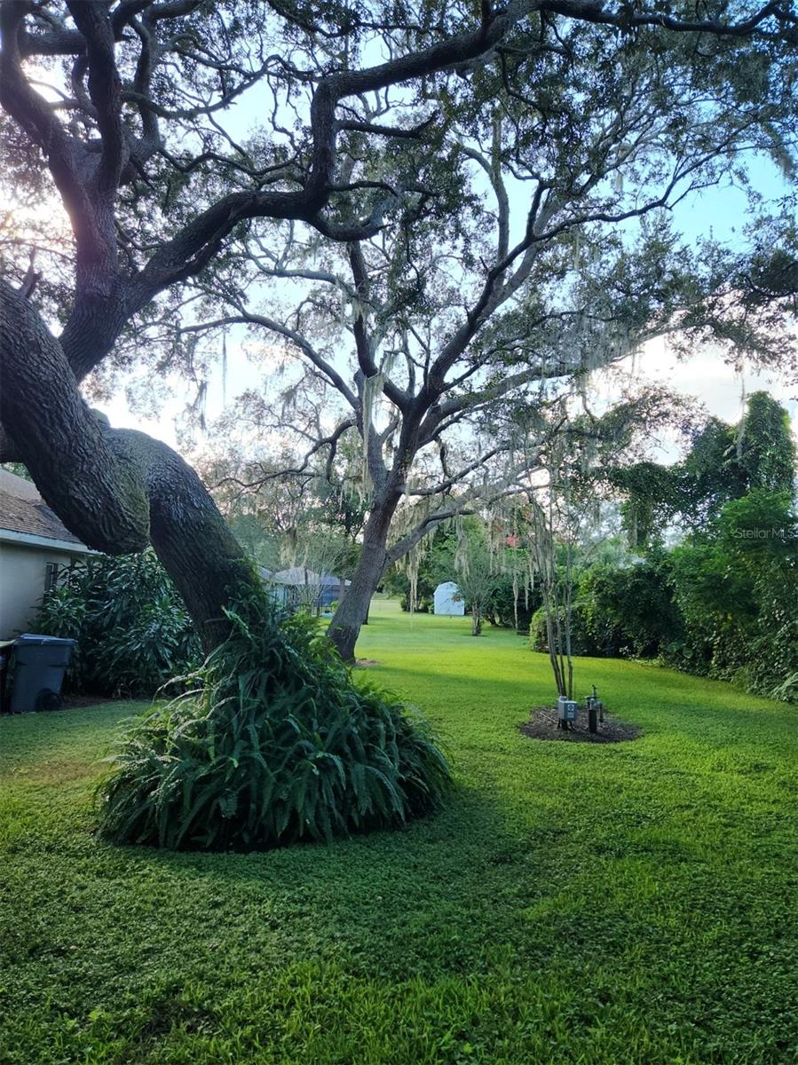 Image 58 of 61 For 5 Pine Forest Lane