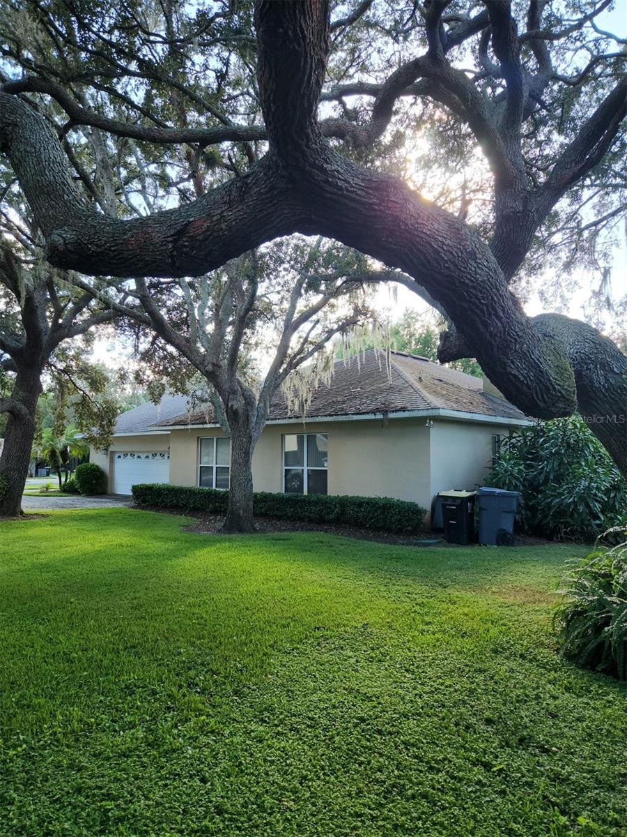 Image 59 of 61 For 5 Pine Forest Lane