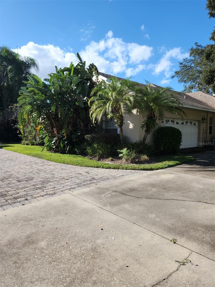 Image 61 of 61 For 5 Pine Forest Lane