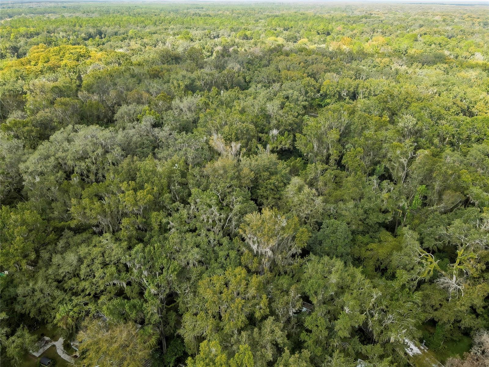 Image 10 of 15 For 9346 Sleepy Oak Court