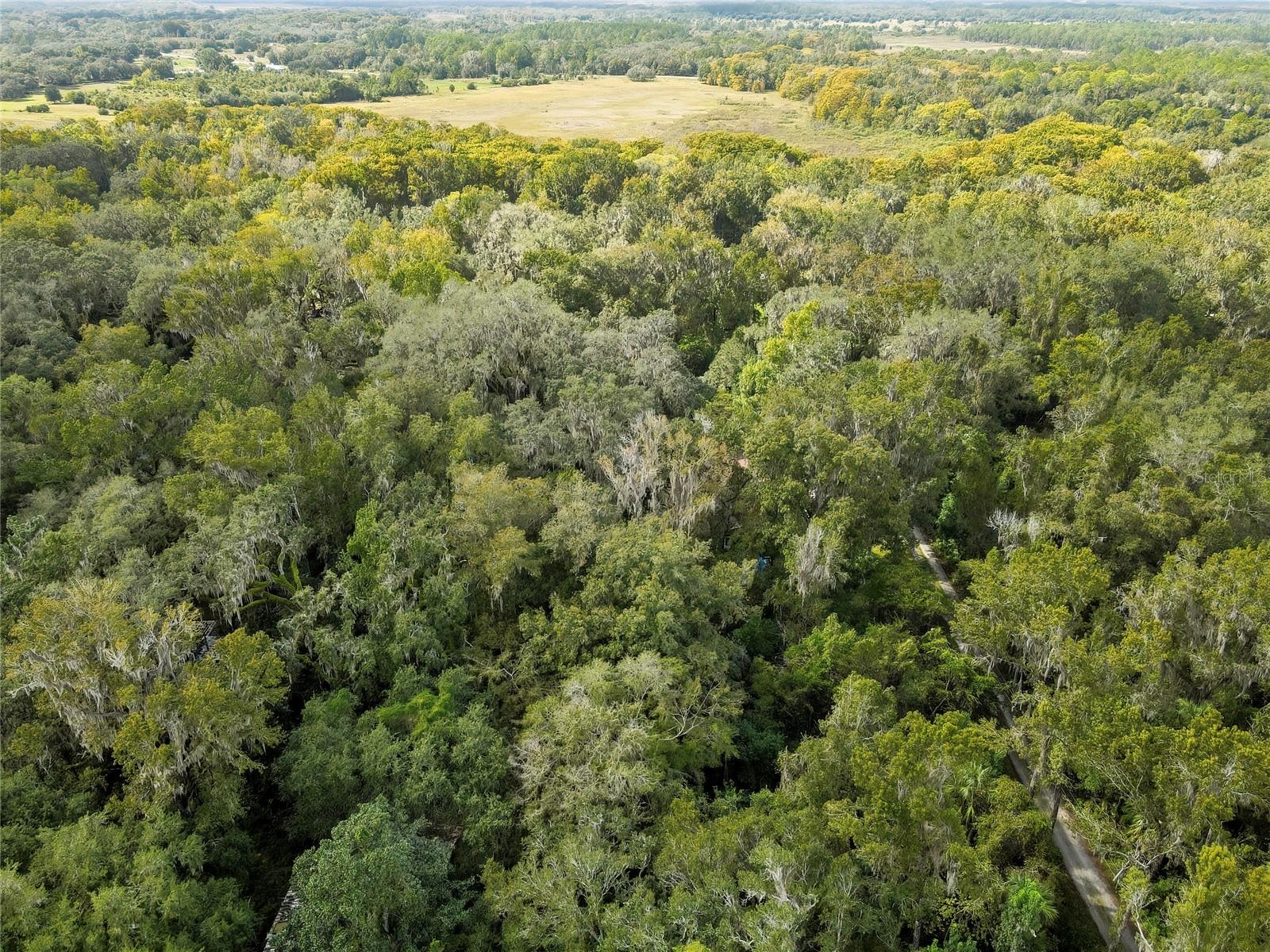 Image 11 of 15 For 9346 Sleepy Oak Court