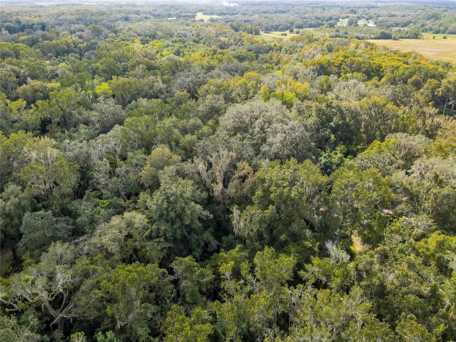 Image 12 of 15 For 9346 Sleepy Oak Court