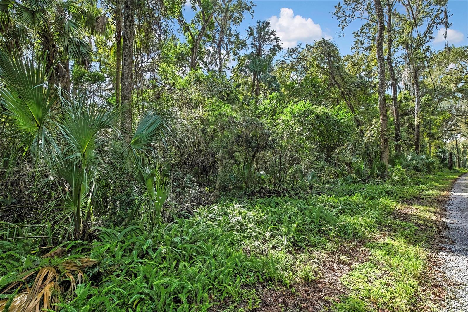 Image 13 of 15 For 9346 Sleepy Oak Court