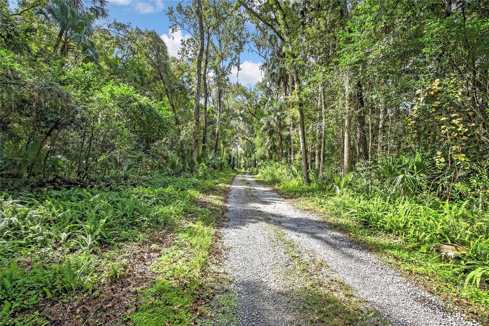 Image 2 of 15 For 9346 Sleepy Oak Court