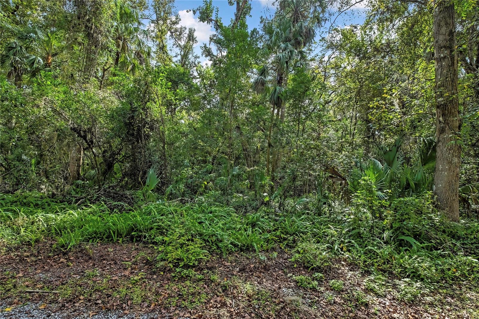 Image 3 of 15 For 9346 Sleepy Oak Court