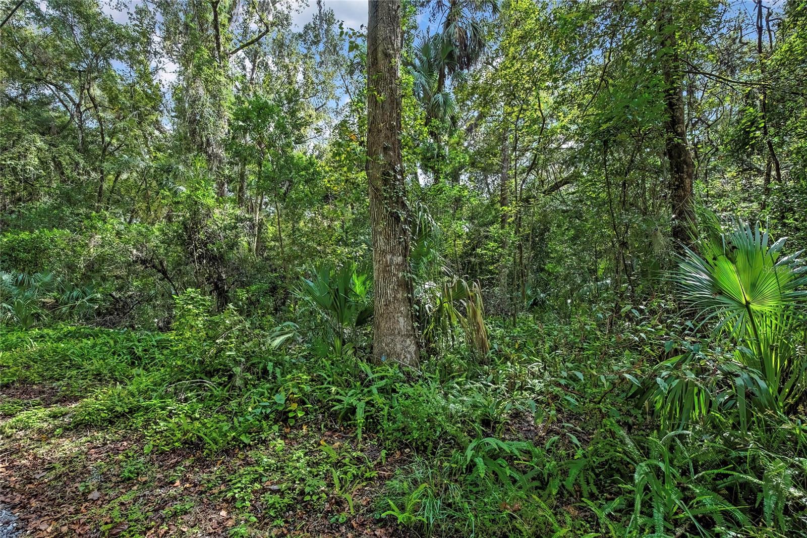 Image 4 of 15 For 9346 Sleepy Oak Court