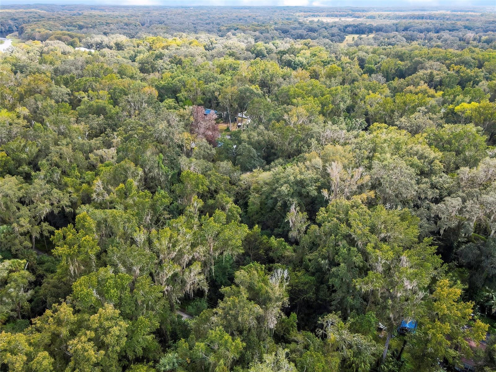 Image 6 of 15 For 9346 Sleepy Oak Court