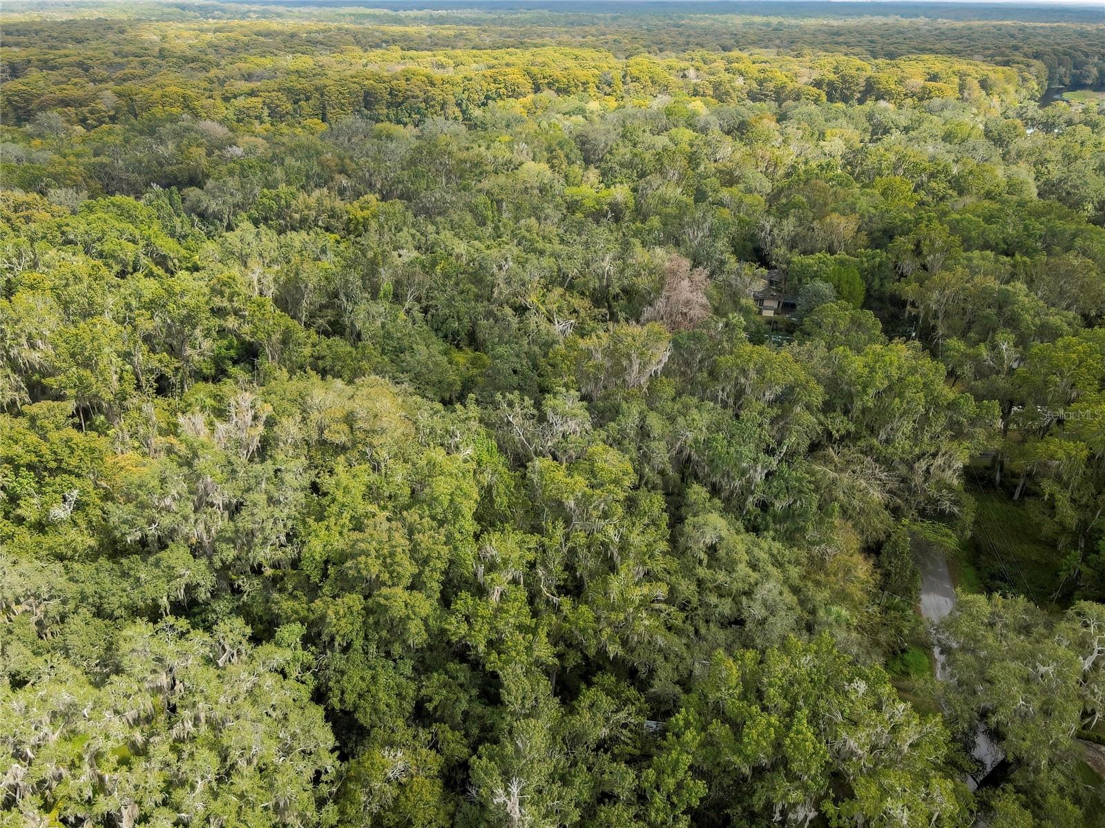 Image 8 of 15 For 9346 Sleepy Oak Court