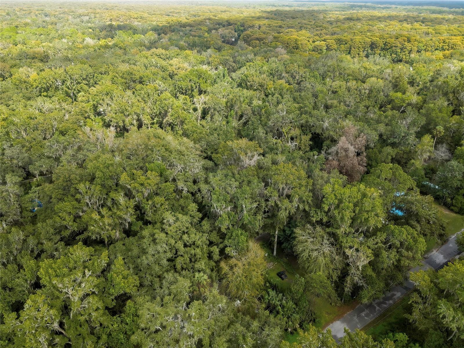 Image 9 of 15 For 9346 Sleepy Oak Court