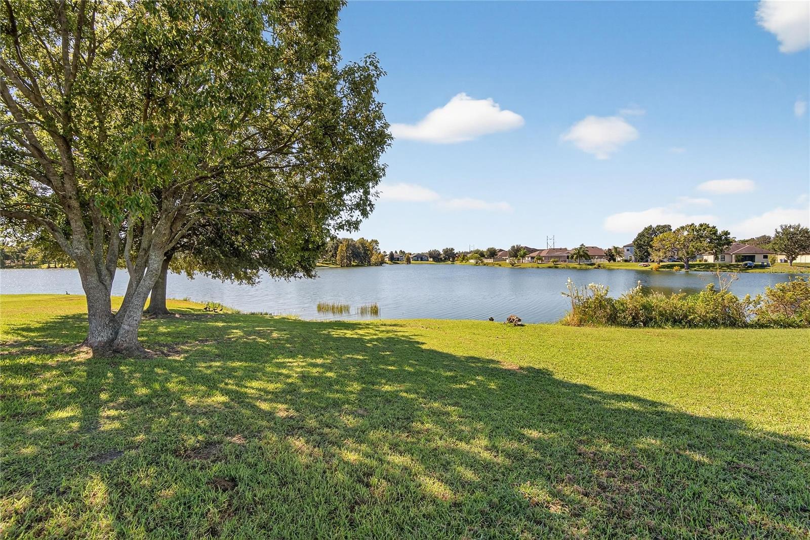 Image 2 of 44 For 2133 Geneva Drive