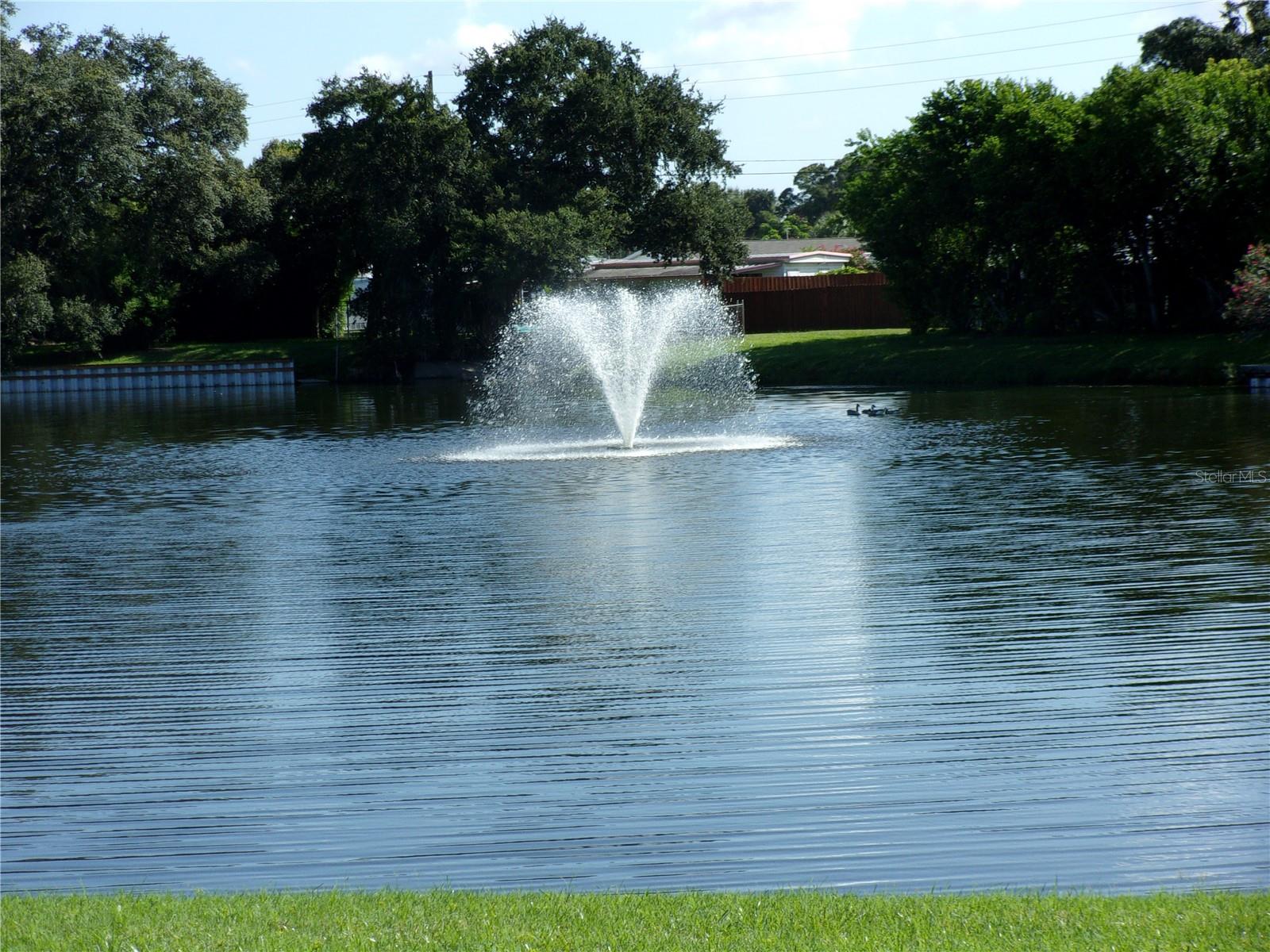 Listing photo id 20 for 8220 112th Street 109