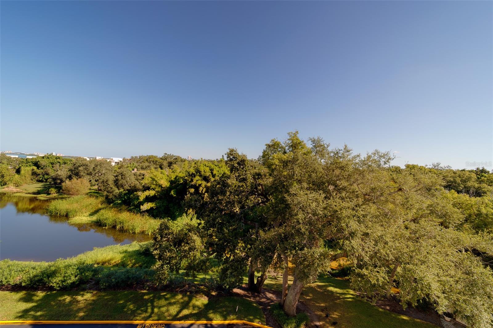 Image 39 of 65 For 220 Belleview Boulevard 504