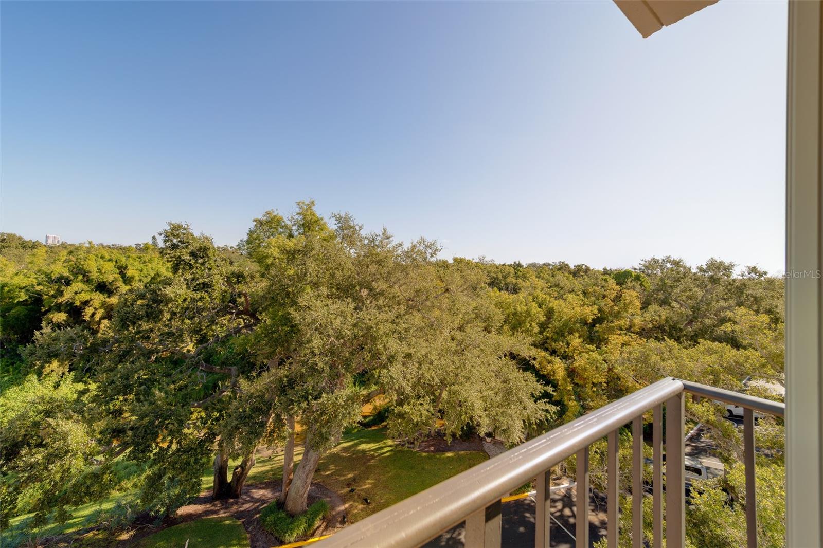 Image 40 of 65 For 220 Belleview Boulevard 504