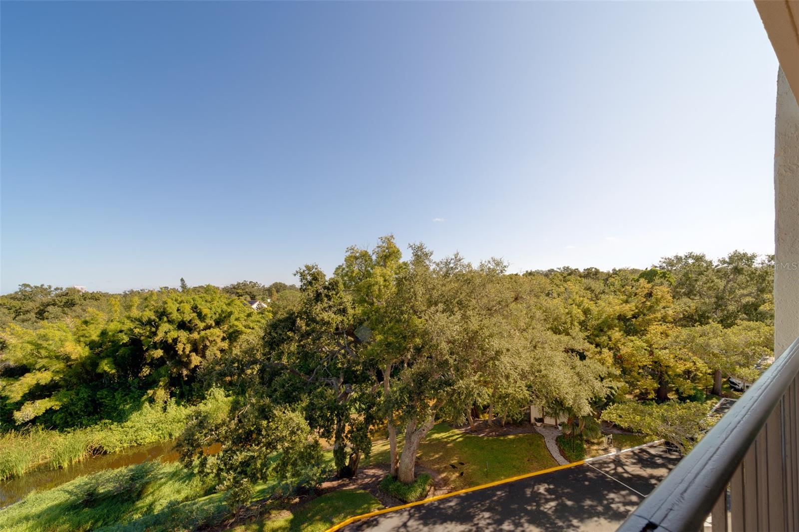 Image 42 of 65 For 220 Belleview Boulevard 504