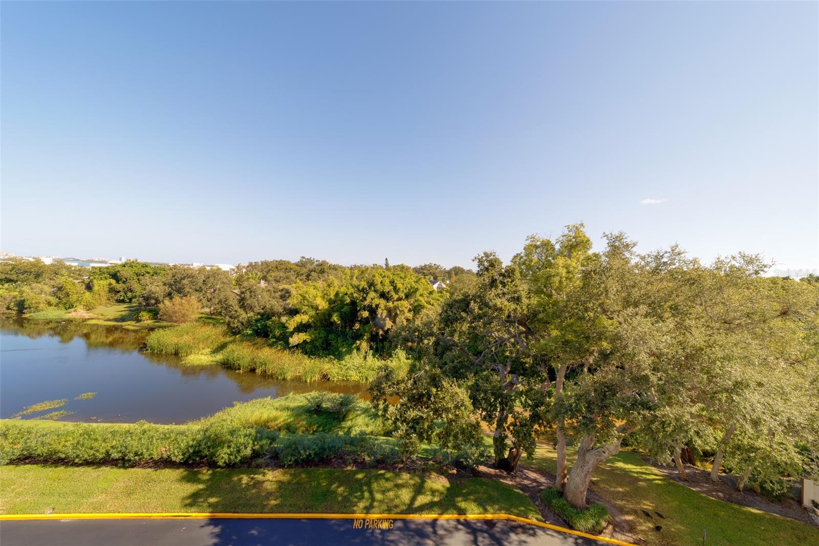 Image 43 of 65 For 220 Belleview Boulevard 504