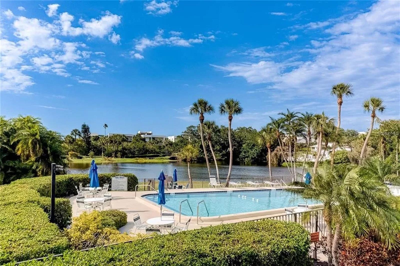 Image 50 of 65 For 220 Belleview Boulevard 504