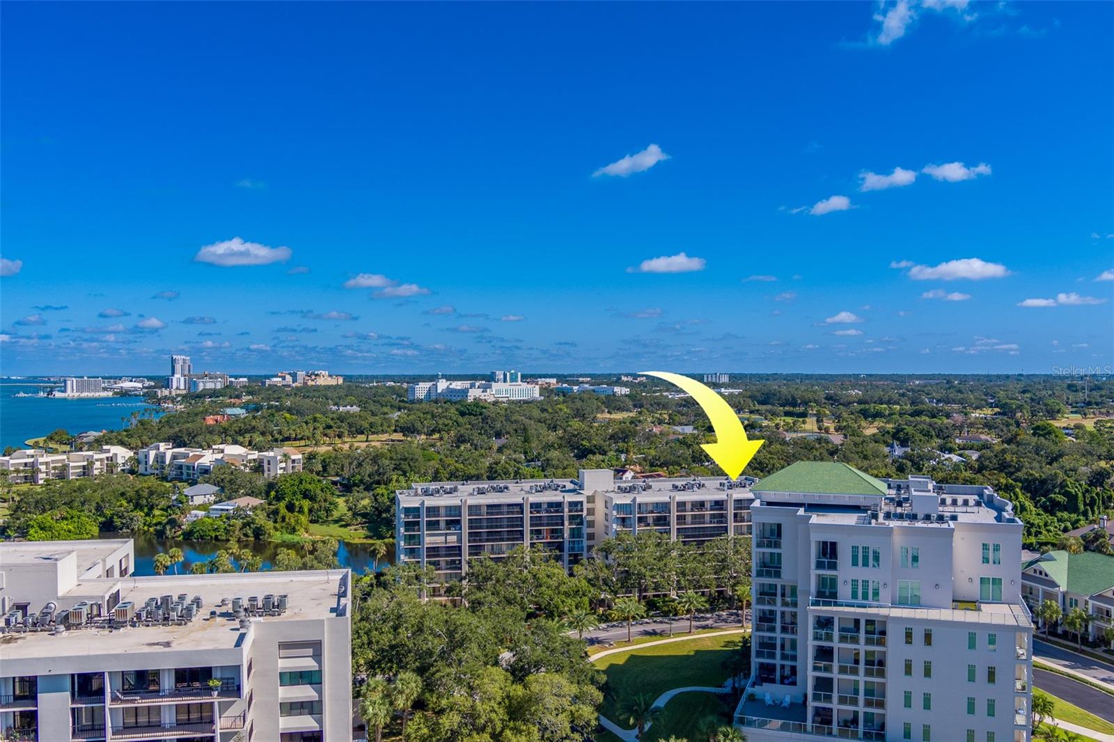 Image 54 of 65 For 220 Belleview Boulevard 504